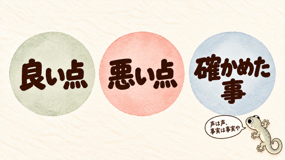 色ちがいの丸を3つ・右下に小さなヤモリ