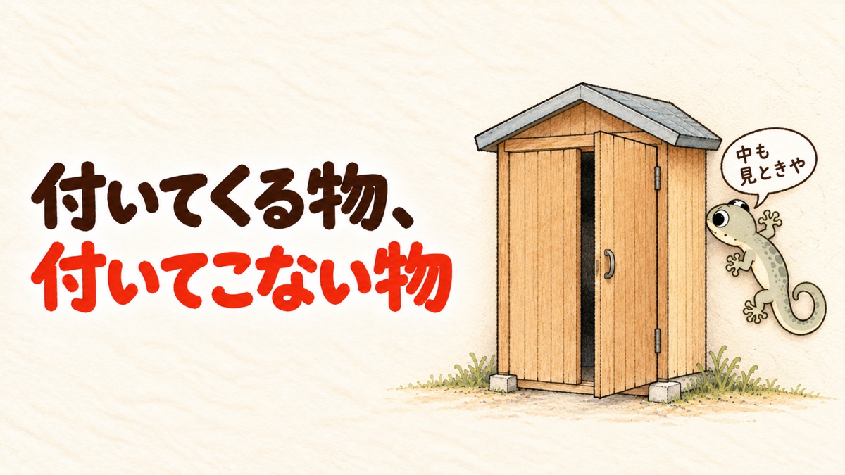 納戸の壁からヤモリが顔を出し、小さな物置の扉をのぞいている