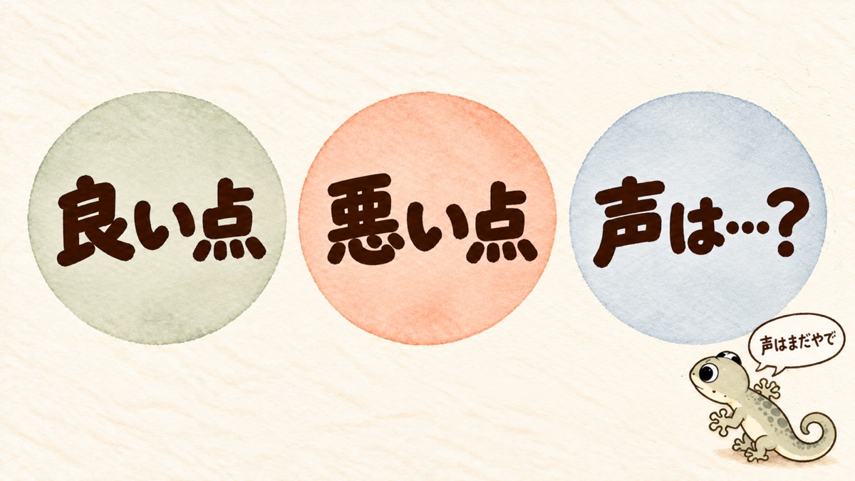 色ちがいの丸を3つ・右下に小さなヤモリ